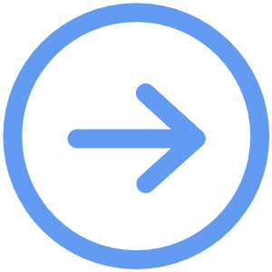 bullet point arrow icon